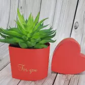 Pudełka do kwiatów Flower box