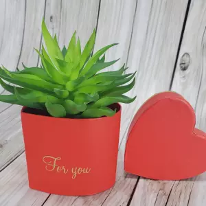 Pudełka do kwiatów Flower box