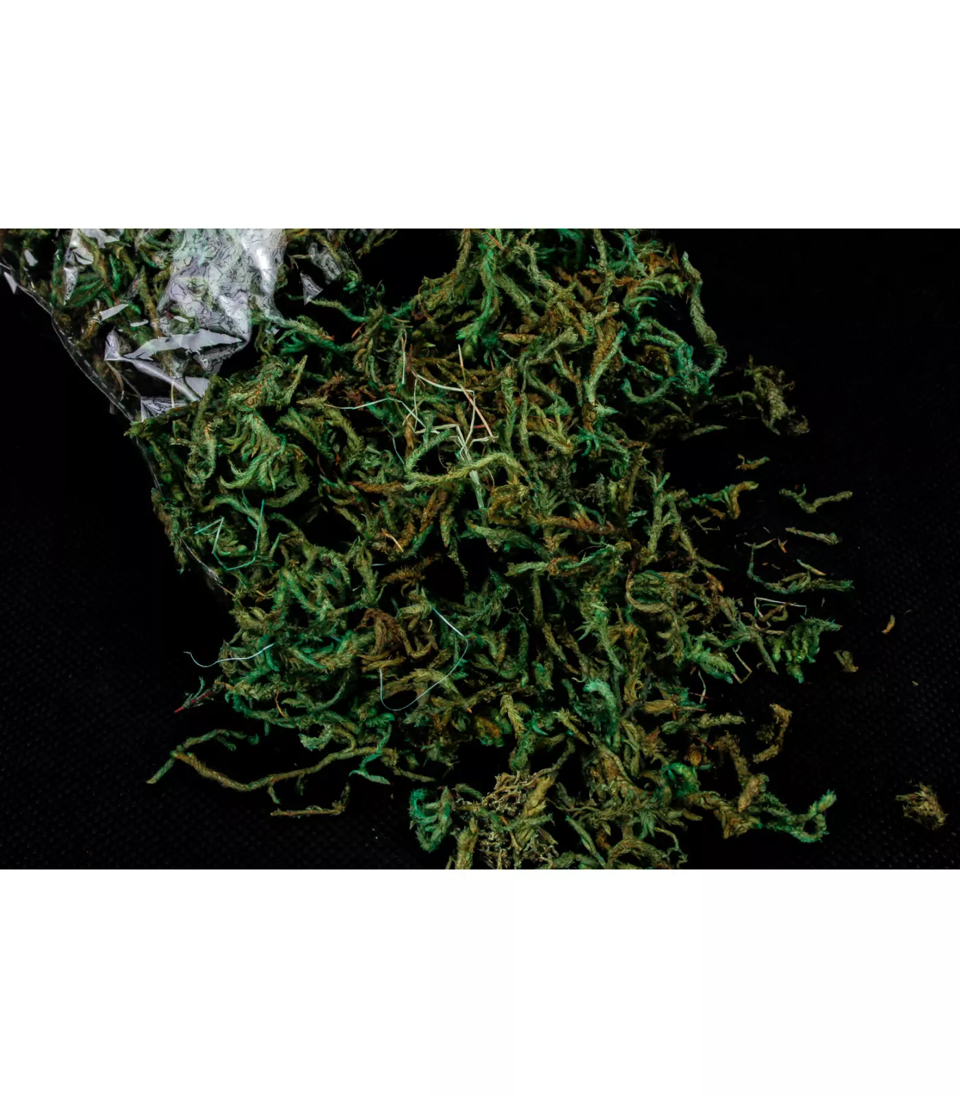 Florystyczny Mech Preparowany. 50 g